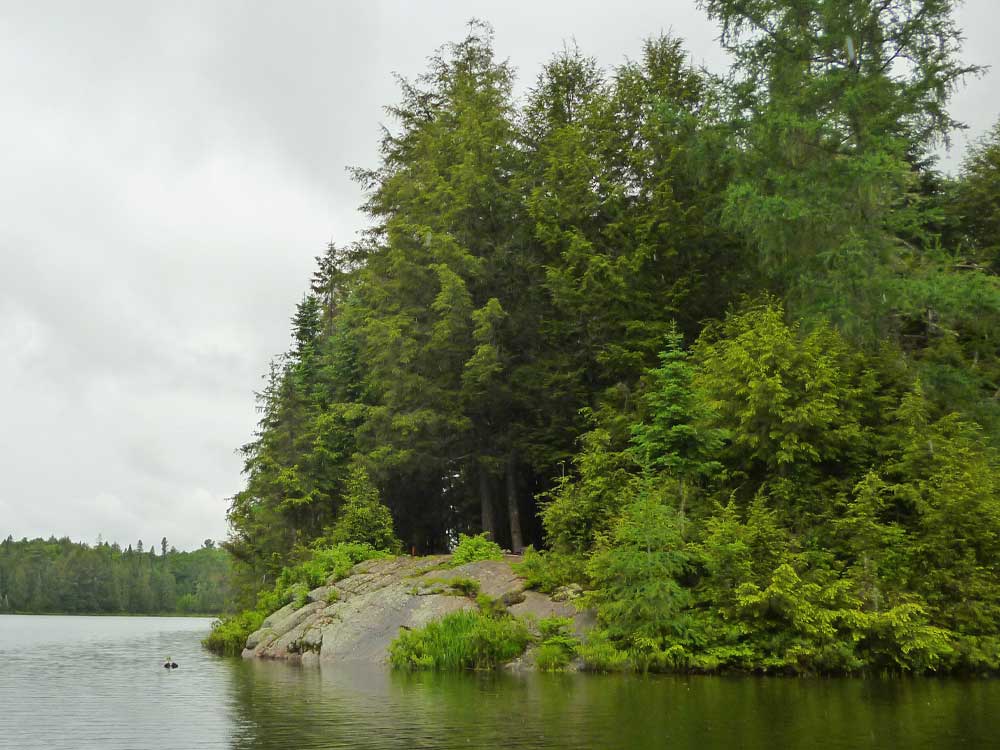 Bandit Lake in Algonquin Park Campsite 1 View From the Water v2