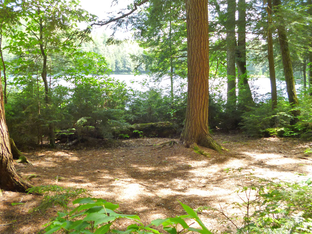 Casey Lake in Algonquin Park Campsite 3 Tent Spot
