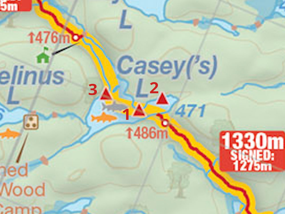 Map of campsites on Casey Lake in Algonquin Park