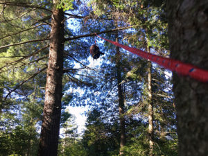 Hanging the food barrel before going on a day trip in Algonquin