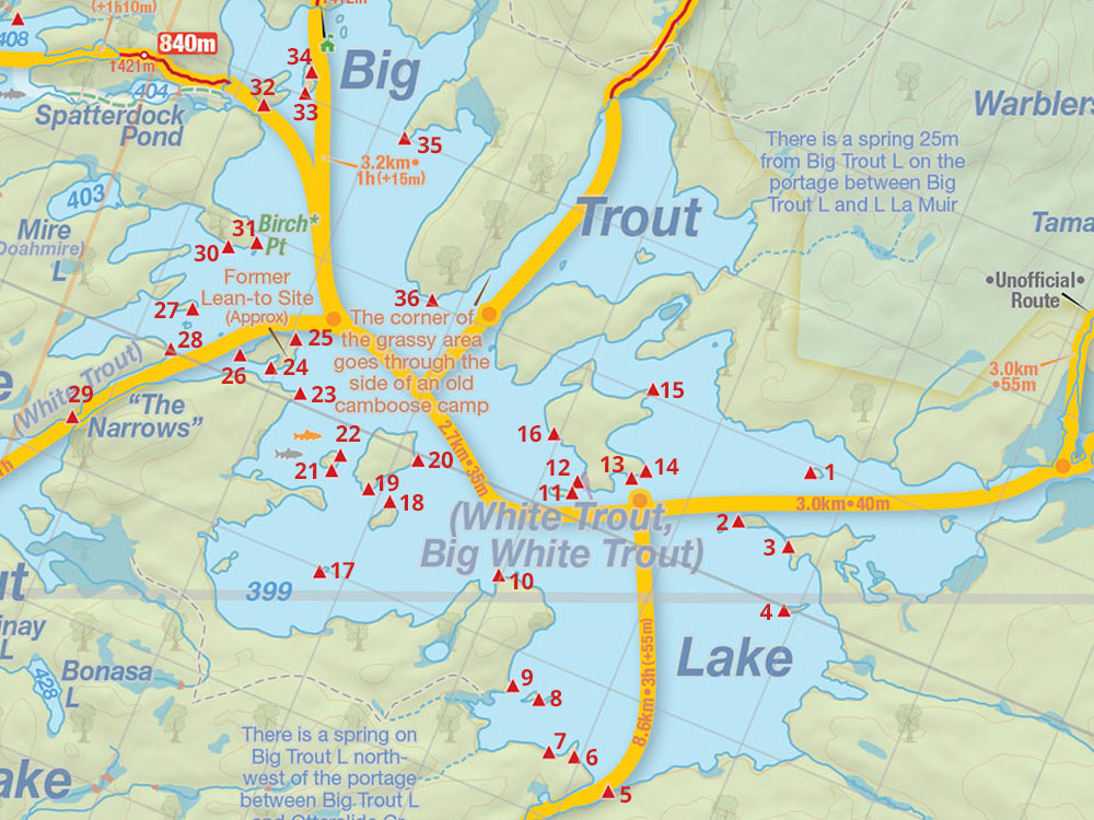 Map of Big Trout Lake Campsites in Algonquin Park