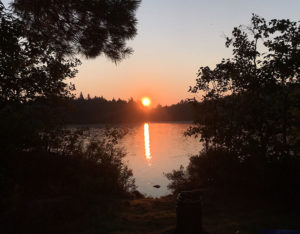Sunrise on Burntroot Lake in Algonquin