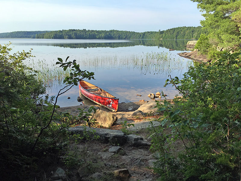 Clydegale Lake Campsite #1 canoe beach landing