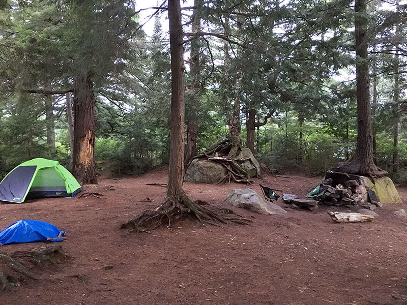 David Lake campsite #1 interior of the campsite