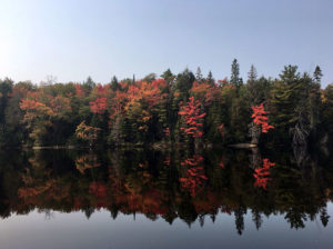 Fall colours starting to show in Algonquin Park