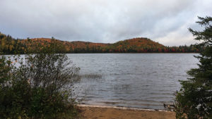 Fall colours on the shoreline in the south of Algonquin Park