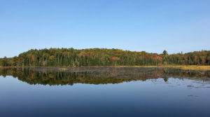 Fall colours starting to show on Grassy Bay in Algonquin Park