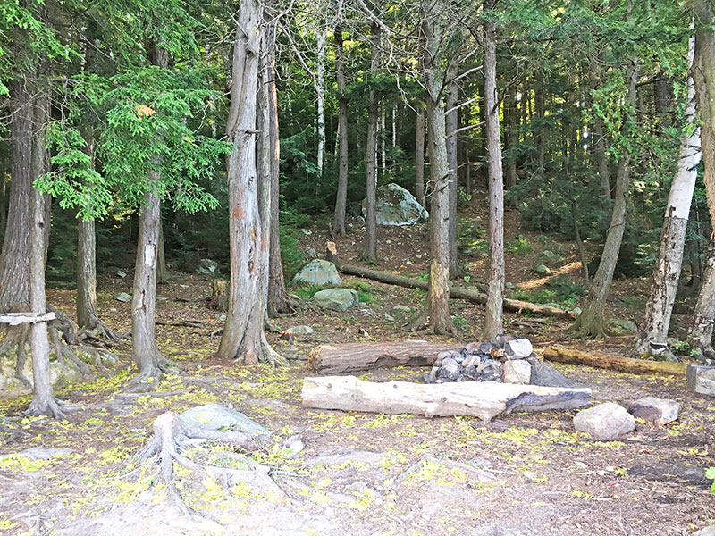 Pen Lake campsite #10 interior of campsite looking behind the site