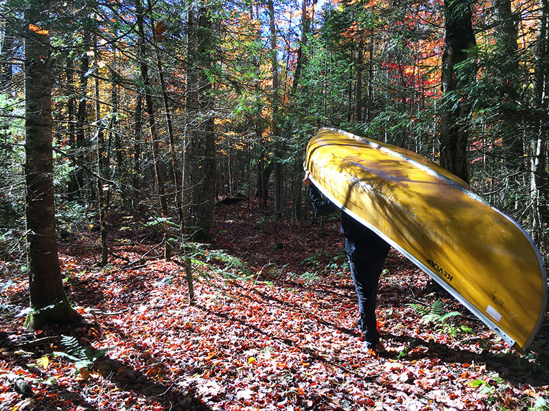 Portaging a canoe during Thanksgiving weekend with leaves on the ground