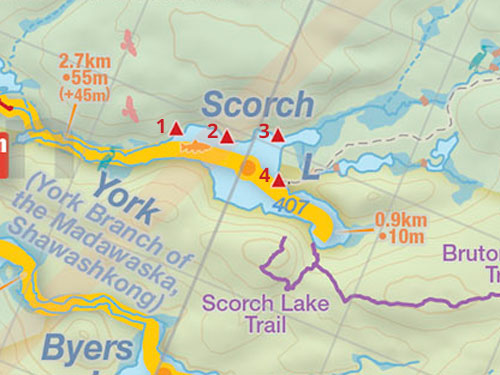 Map of Scorch Lake campsites in Algonquin Park