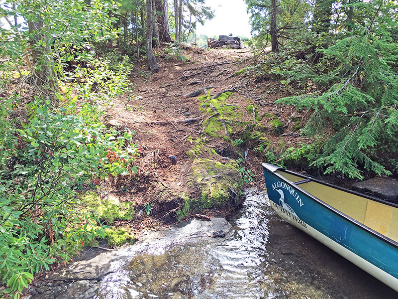 Sproule Lake Campsite #5 canoe landing