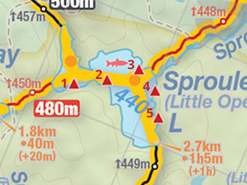 Map of Sproule Lake campsites in Algonquin Park
