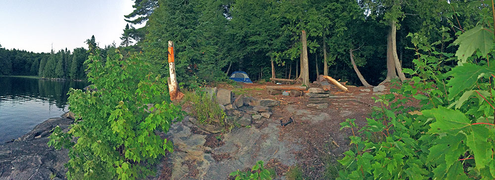 Lake Louisa campsite #12 interior view of the campsite