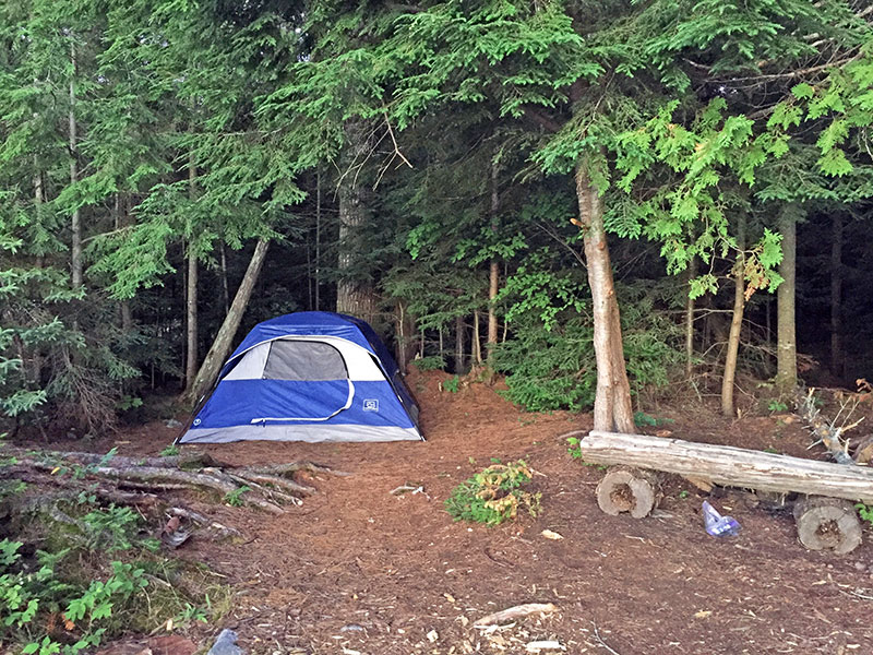 Lake Louisa campsite #12 tent spot option