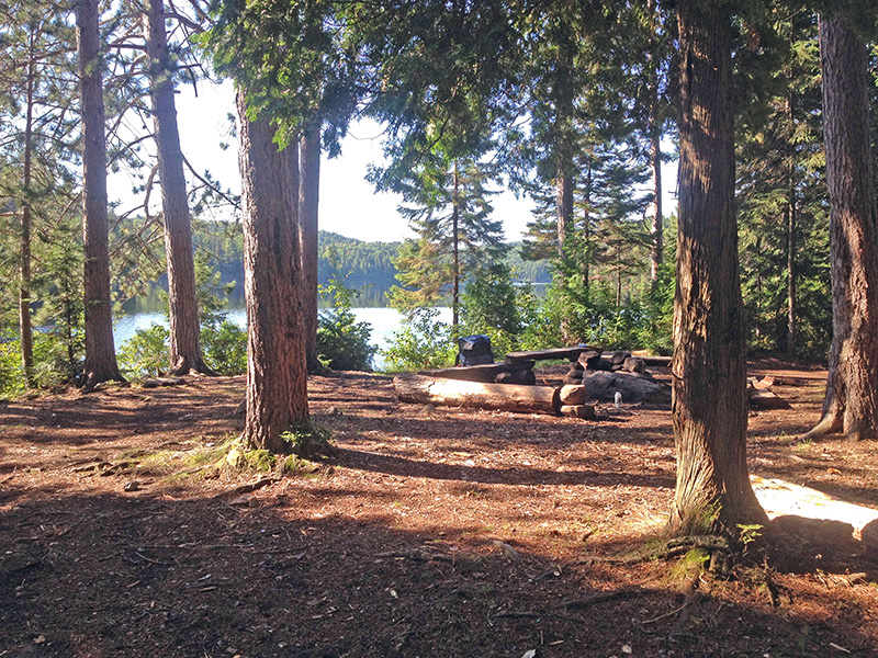 Little Otterslide Lake campsite #4 interior of campsite