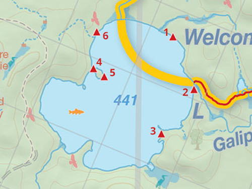 Map of Welcome Lake campsites