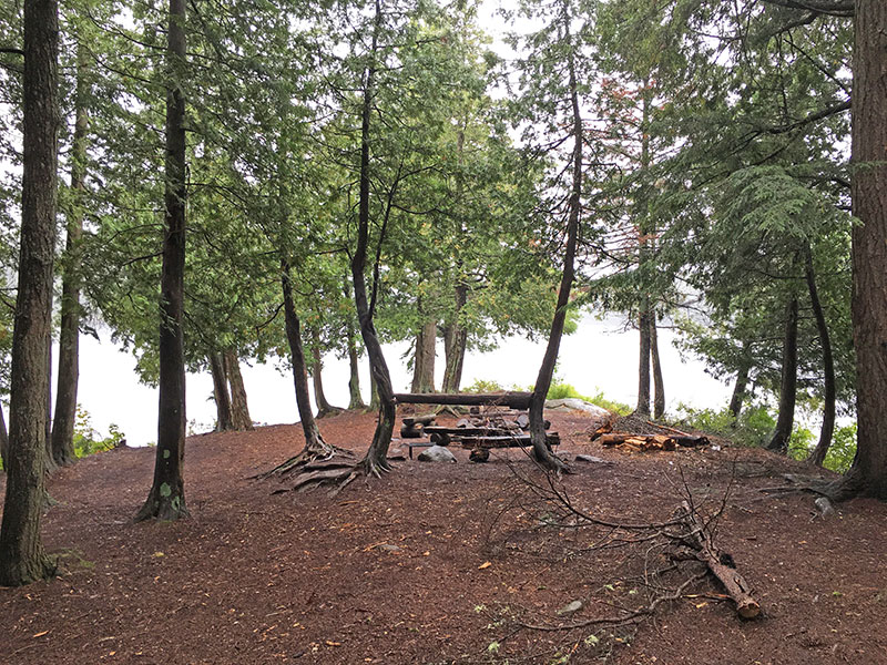 Bonnechere Lake campsite #1 interior of the whole campsite