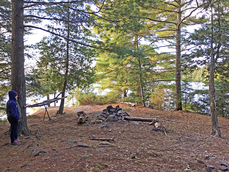 Clydegale Lake campsite #1 in 2018 interior of the campsite
