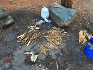 Small amount of wet firewood at my campsite on Pardee Lake