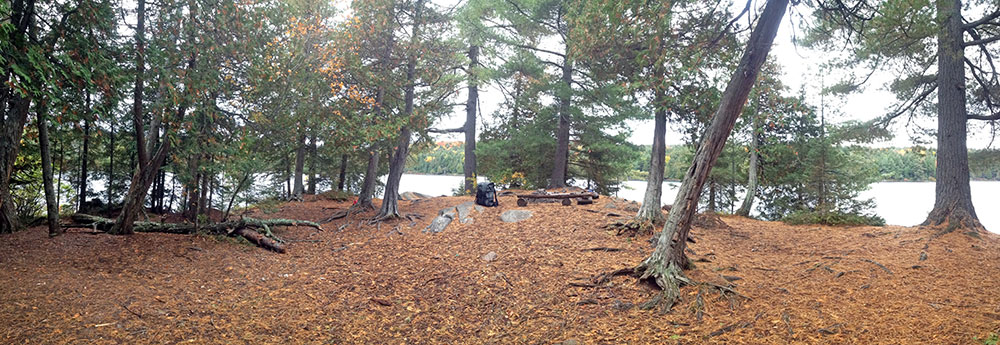 Harness Lake campsite #5 interior of campsite, facing east