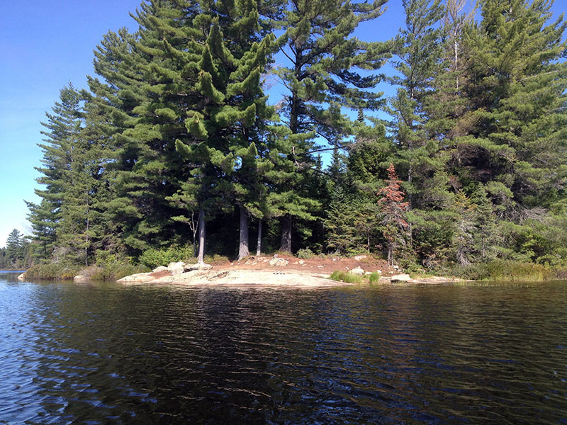 Linda Lake Campsite #1 in 2016, view of the back of the island
