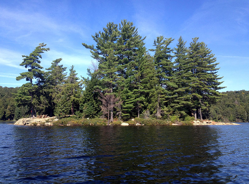 Linda Lake Campsite #1 in 2016, side view of the island