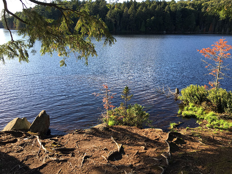 Linda Lake campsite #1 in 2018 canoe landing at the front of the site