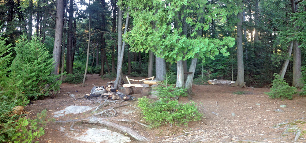Linda Lake Campsite #3 interior of campsite panorama
