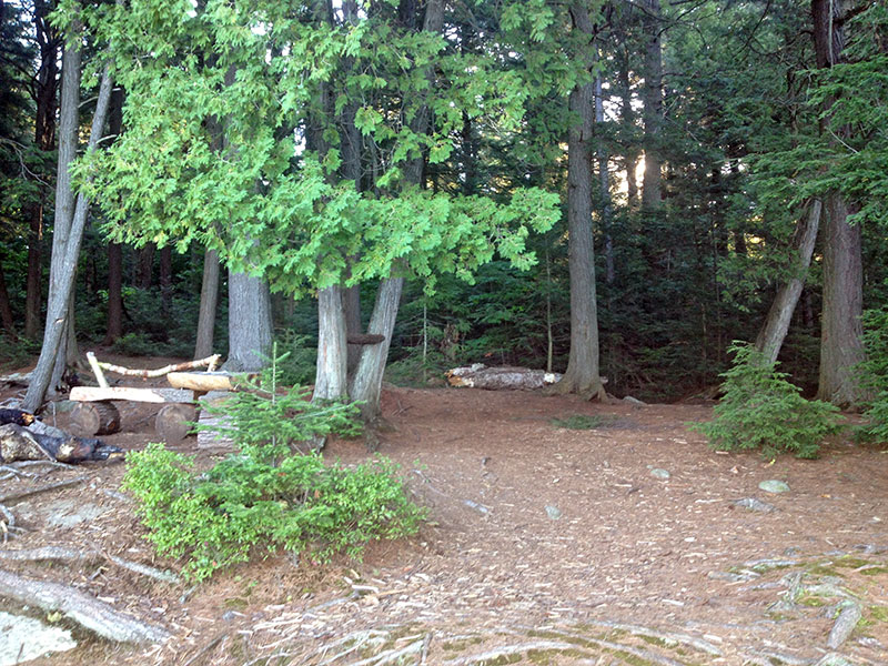 Linda Lake Campsite #3 interior view of campsite