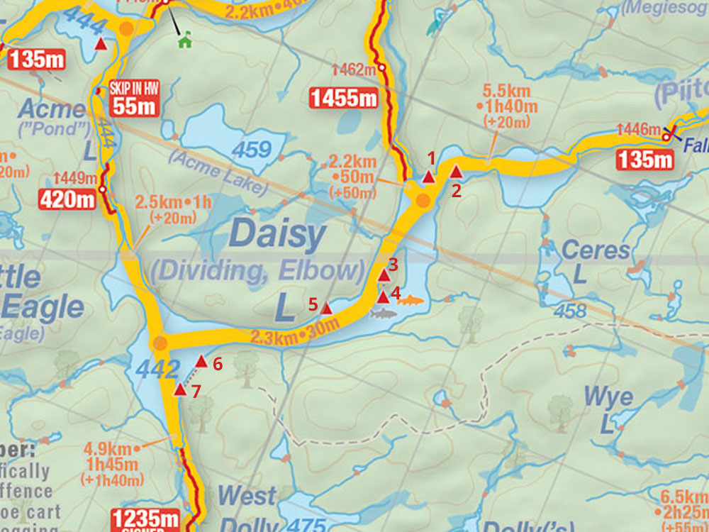Map of Daisy Lake campsites in Algonquin Park