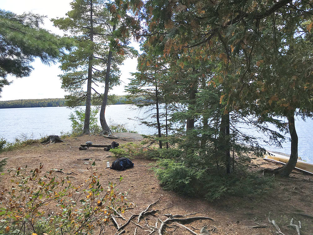 Front of island campsite on McIntosh lake