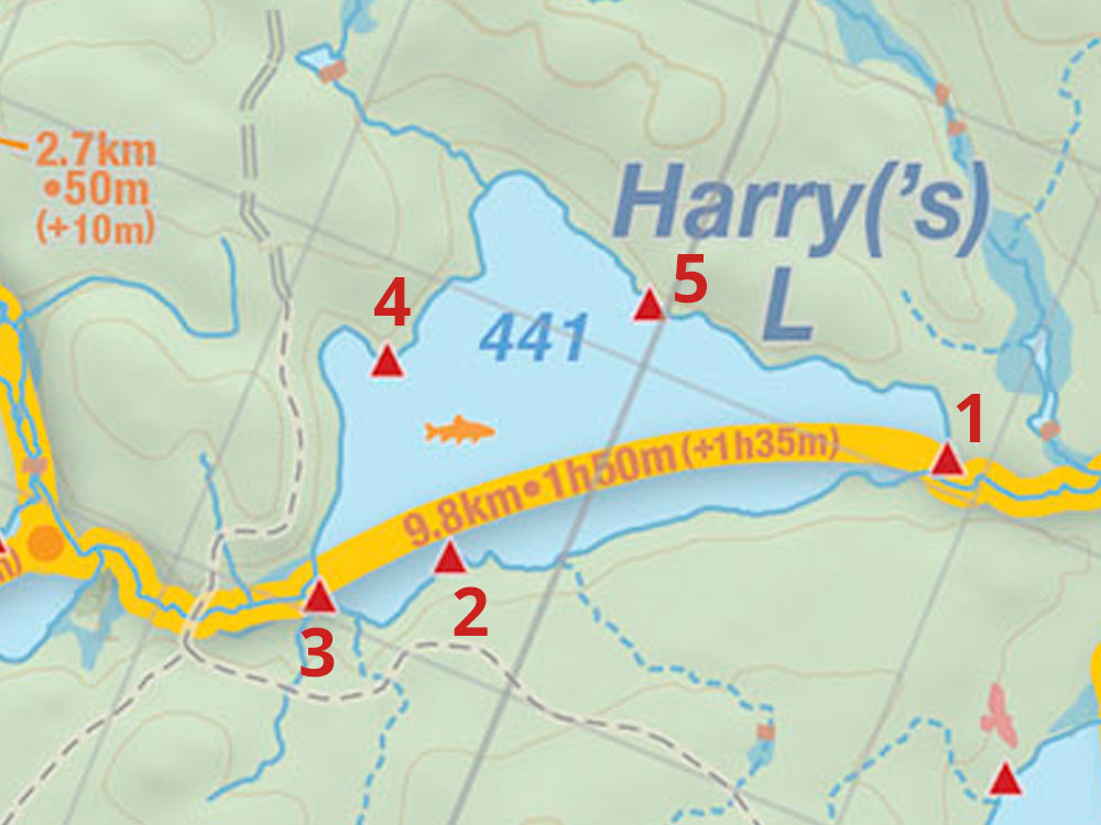 Map of campsites on Harry Lake in Algonquin Park