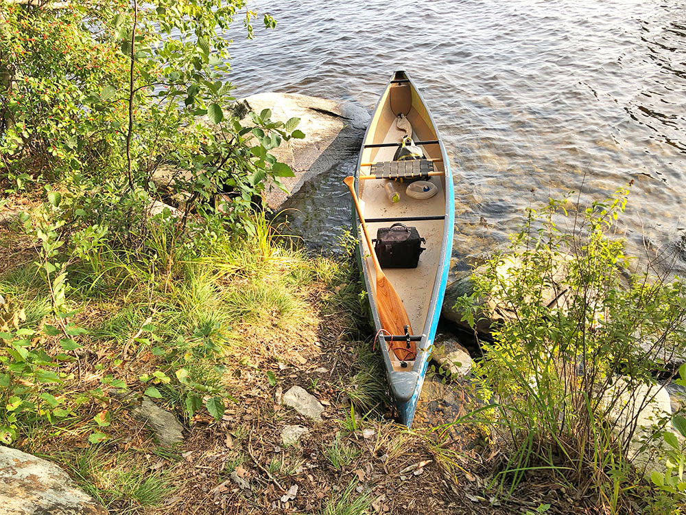 Canoe landing area on Big Trout Lake campsite #12 in Algonquin Park