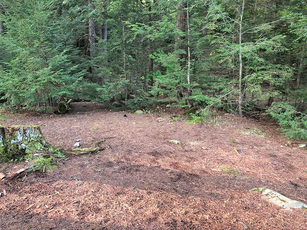 Large flat area to pitch a tent on Big Trout Lake campsite #13