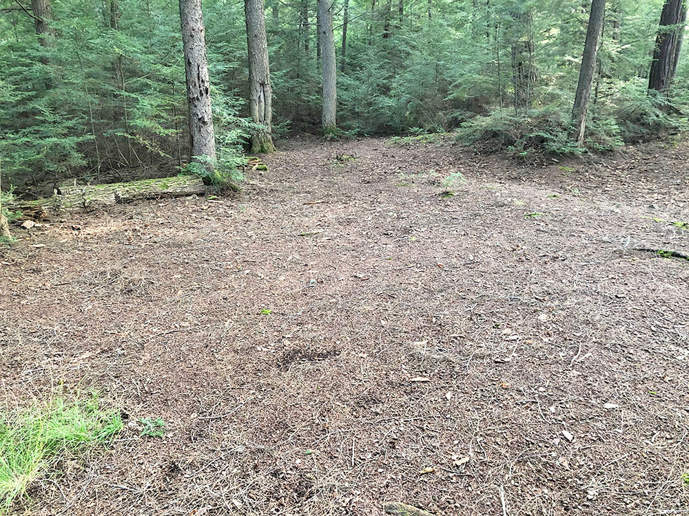Large area to pitch multiple tents on Big Trout Lake island campsite #15