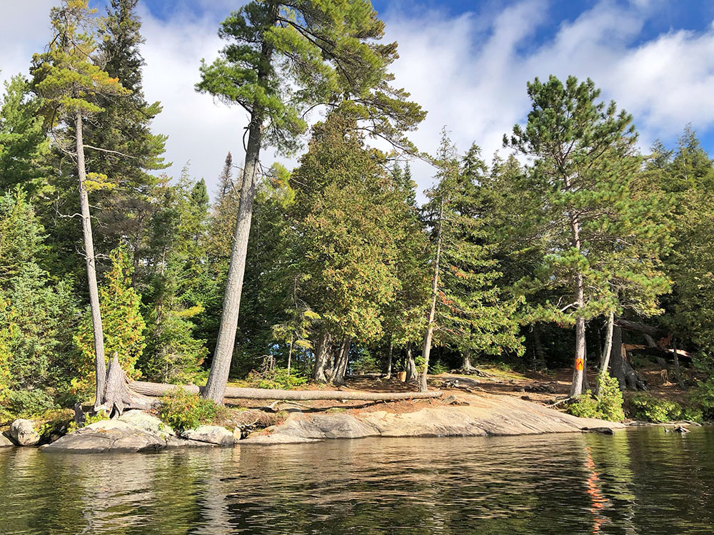 View of campsite 28 on Burnt Island Lake in Algonquin Park from the water