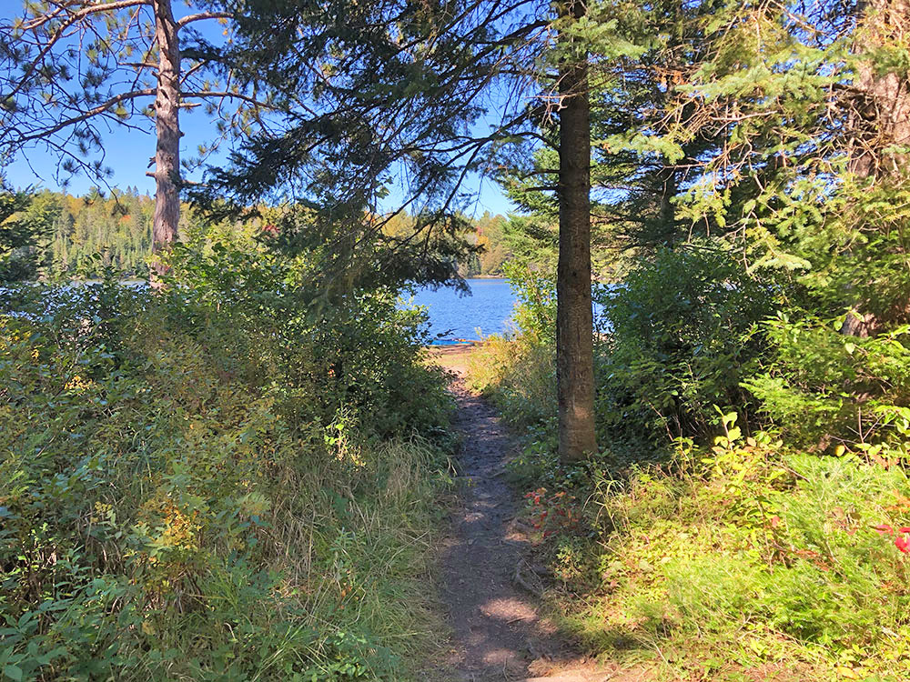 Trail from the front of campsite 8 on Joe Lake's east arm to the multiple tent spots