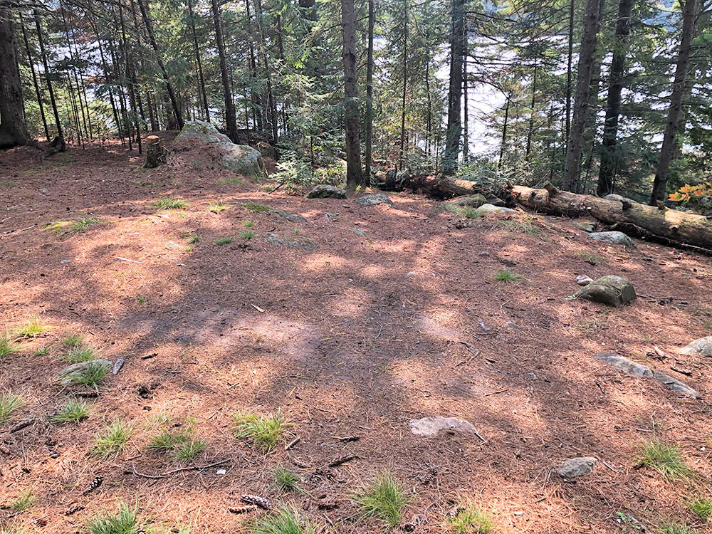 Large tent spot area behind campsite 3 on Otterslide Lake in Algonquin