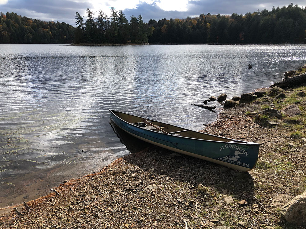 Large canoe landing on Ragged Lake Campsite #2 in Algonquin Park
