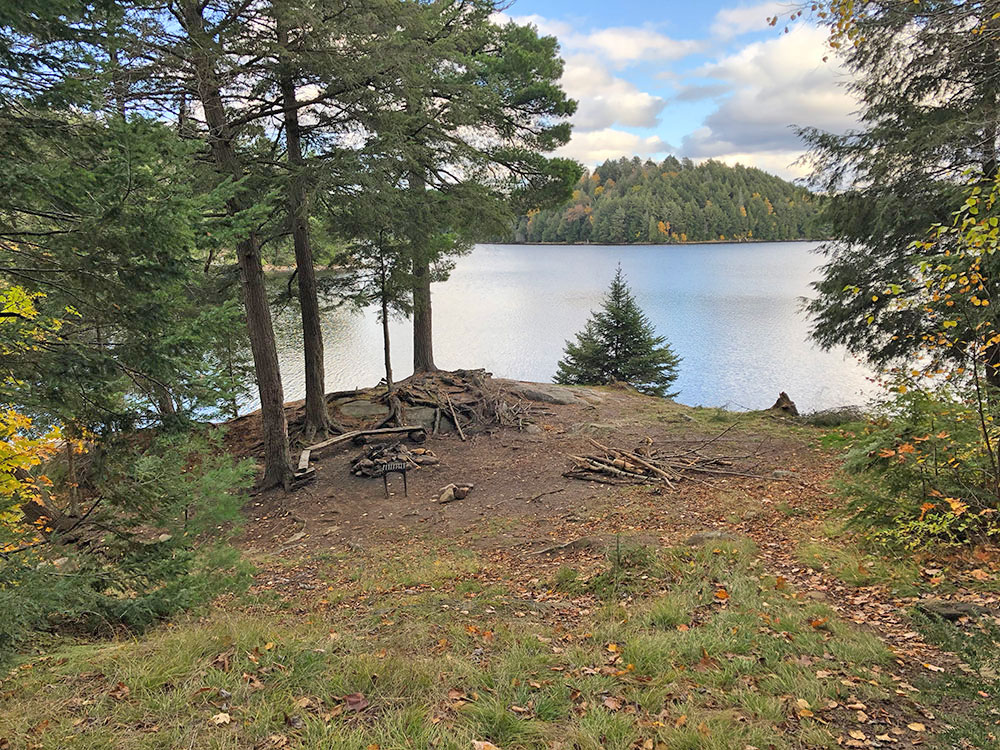 Interior of campsite #20 on Ragged Lake looking towards the fire pit area