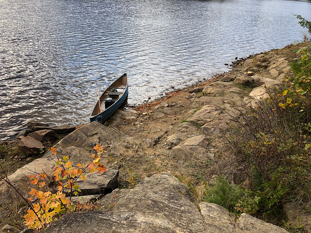 Canoe landing for Ragged Lake campsite #4 in Algonquin Park