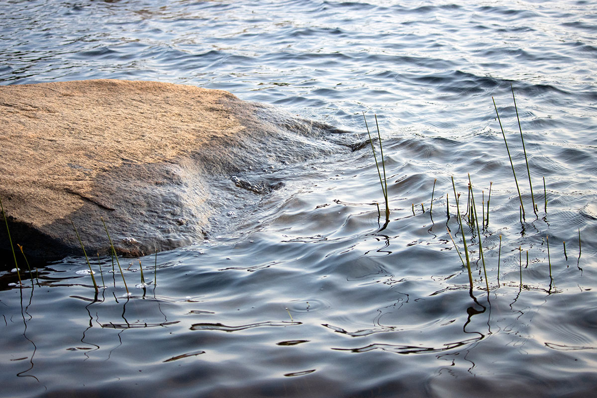 Ripples in the water on Queer Lake in Algonquin Park