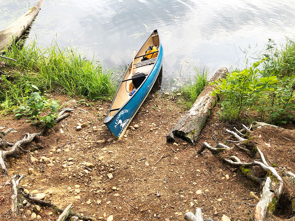 Ryan Lake Algonquin Park Campsite 1 canoe landing