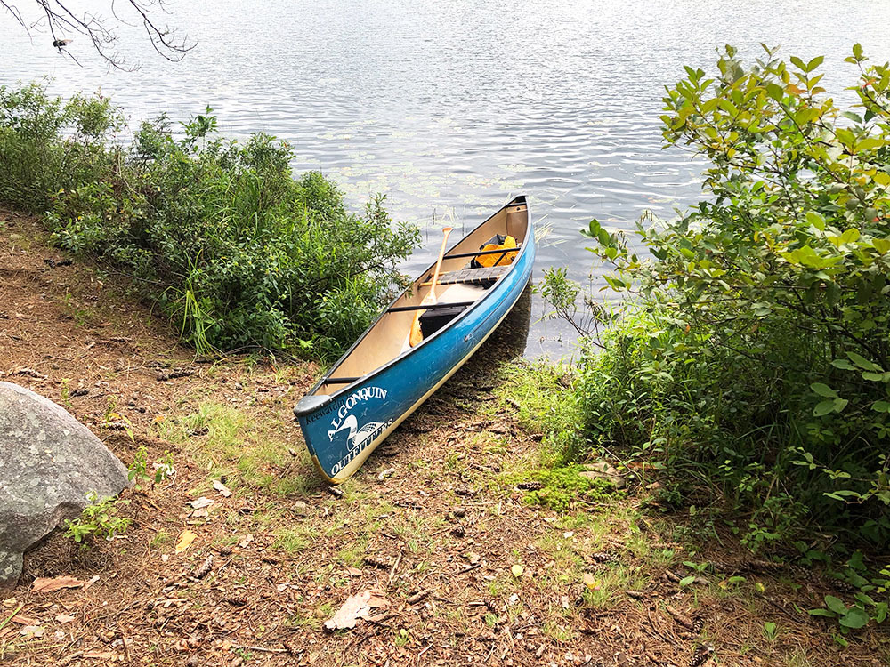 Ryan Lake Algonquin Park Campsite 3 canoe landing