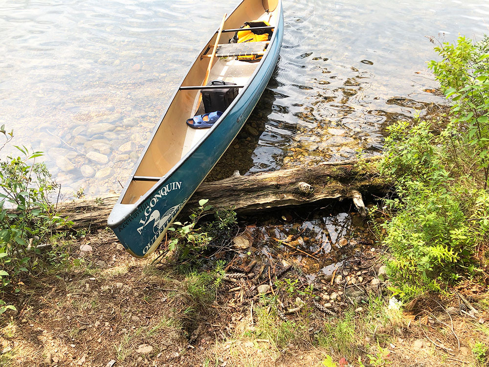 Ryan Lake Algonquin Park Campsite 5 canoe landing