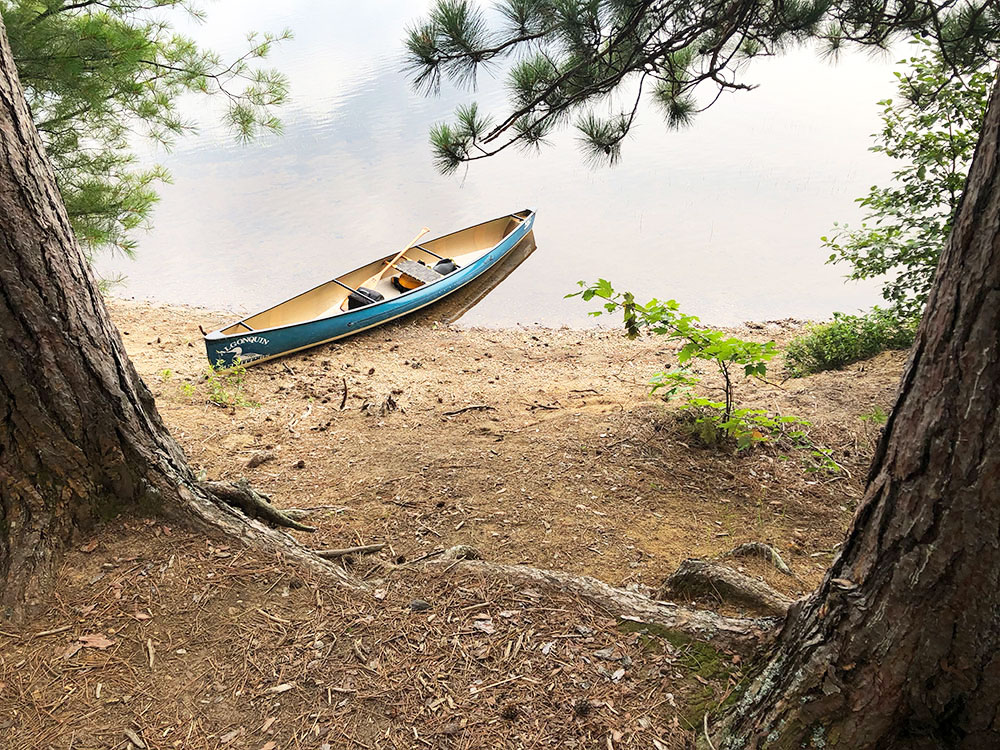 Shirley Lake Algonquin Park Campsite 1 canoe landing