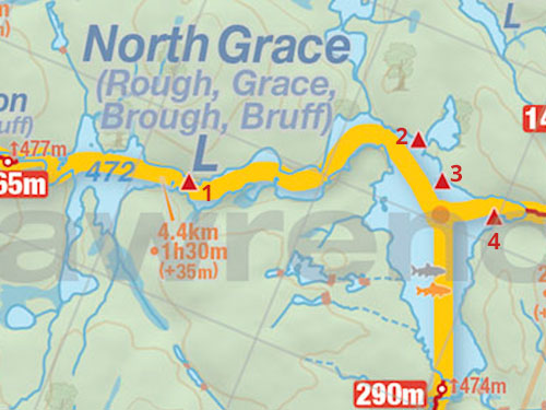 Map and campsites on North Grace Lake in Algonquin Park