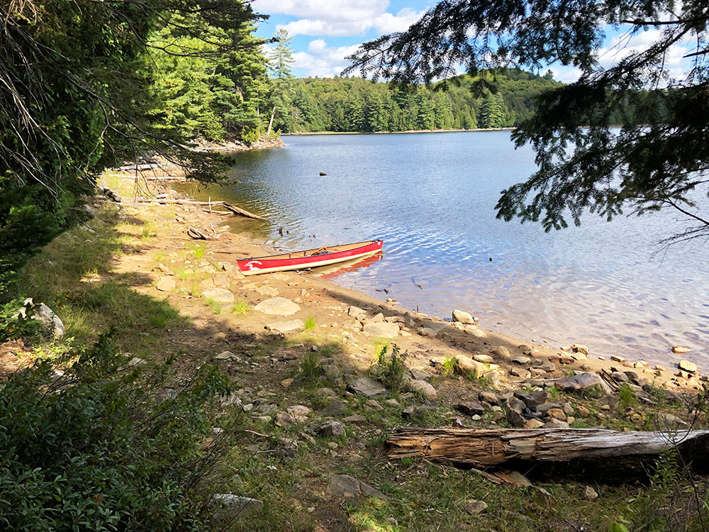 Ragged Lake Algonquin Park campsite 19 canoe landing