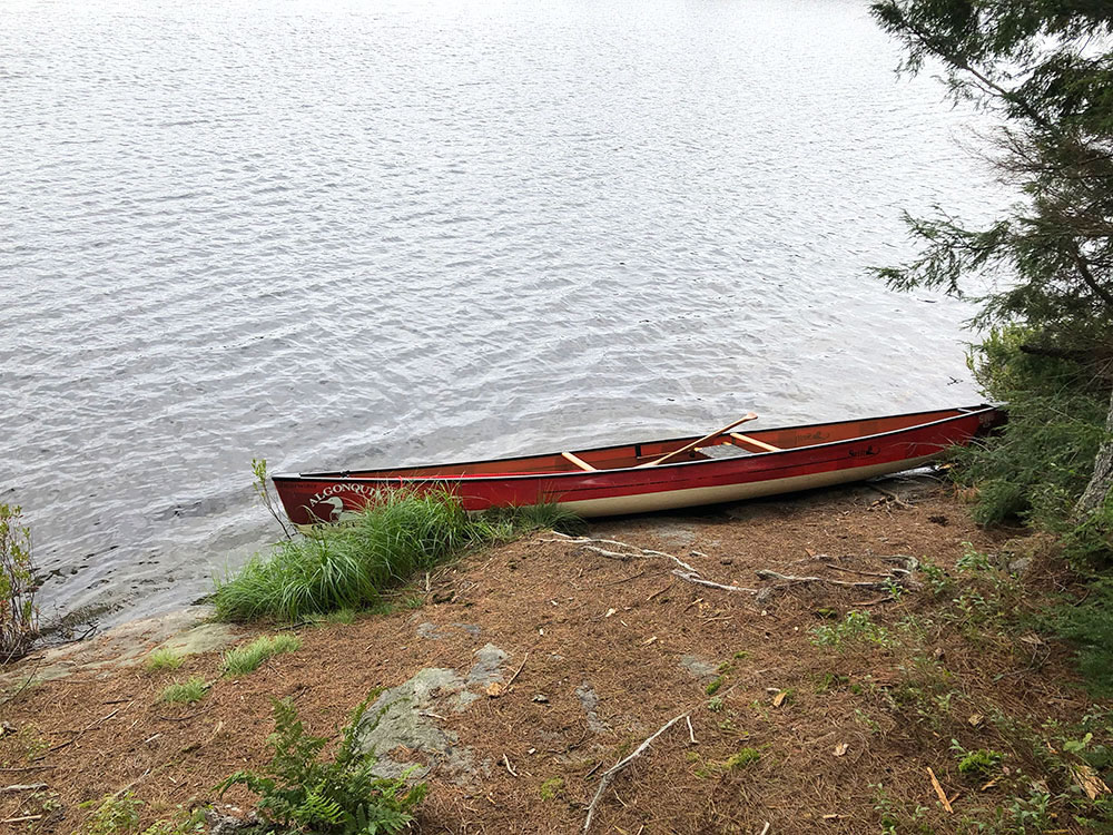 Stringer Lake Algonquin Park campsite 1 canoe landing