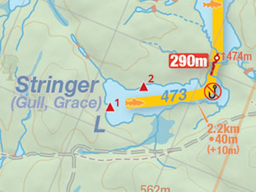 Map and campsites on Stringer Lake in Algonquin Park